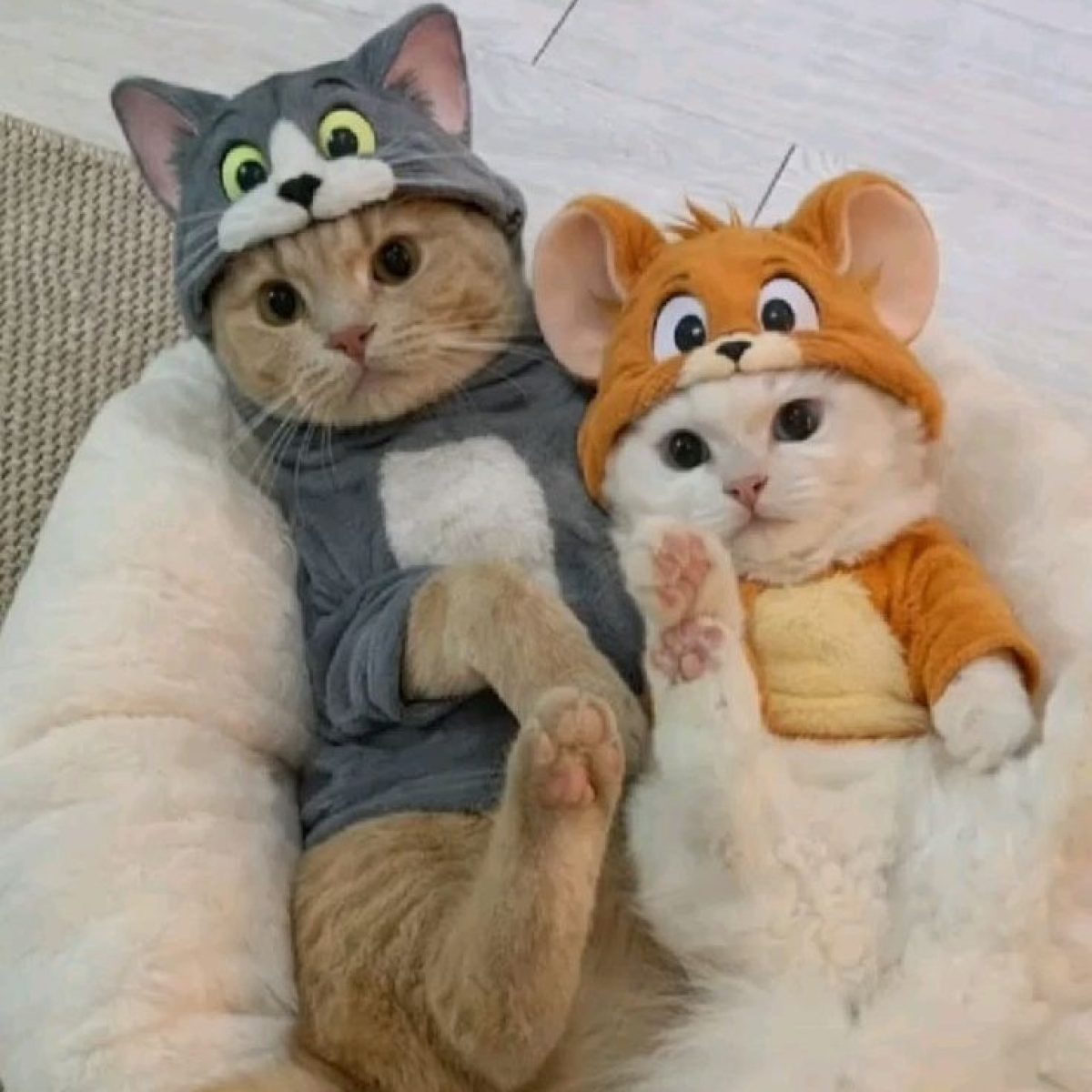 7c709557eeec563815c1c0455918b669~2